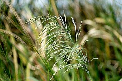 《迷宫贩》登陆Steam 魔王城百货店经营