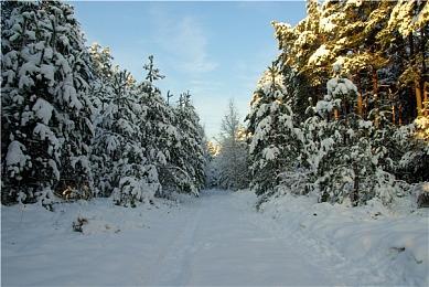 《Space Wreck》登陆steam 复古末日风格RPG新游